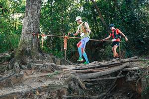 BIB: 
                            <button type="button" onclick="openModal(27752513)" class="btn btn-primary btn-sm float-right btn-popup" data-toggle="modal" data-target=".modal-high-quality">
                        <i class="fas fa-shopping-cart"></i> Add to Cart
                    </button>
                                            <button type="button" onclick="isThisMe(27752513, true)" class="btn btn-success btn-sm float-right btn-popup btn-isme hidden" data-toggle="tooltip" data-placement="bottom" title="นี่คือรูปของคุณใช่ไหม คลิกที่นี่เพื่อเอาเข้าอัลบั้ม">
                        <i class="fas fa-plus"></i> Add to album
                    </button>
                    <button type="button" onclick="isThisMe(27752513, false)" class="btn btn-warning btn-sm float-right btn-popup btn-isnotme hidden">
                        <i class="fas fa-ban"></i> Remove from album
                    </button>